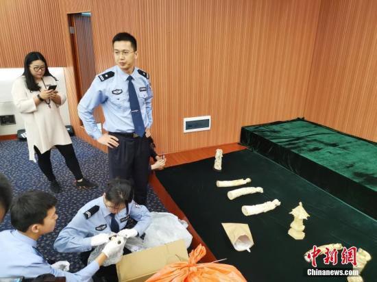 资料图：4月25日，深圳海关查扣涉嫌走私象牙及其制品。中新社记者 陈文 摄